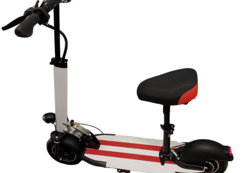 Foldable electric scooter with 10-inch tires